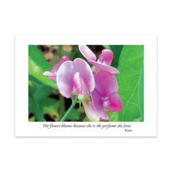 FRAGRANCE OF LIFE