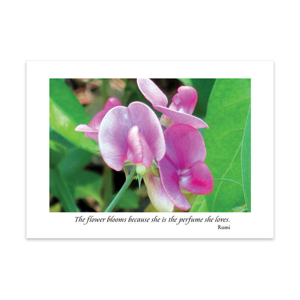 FRAGRANCE OF LIFE