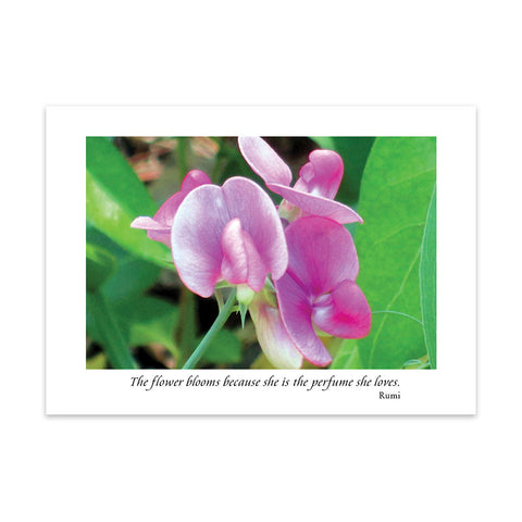 FRAGRANCE OF LIFE