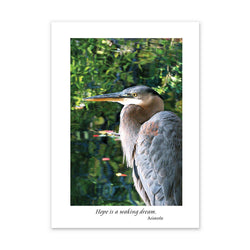 GREAT BLUE