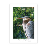 GREAT BLUE