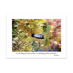 MAGIC IS AFLOAT