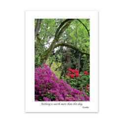 RITES OF SPRING