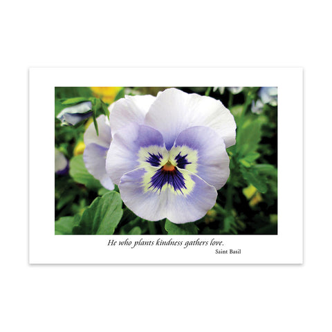 SEEDS OF HOPE