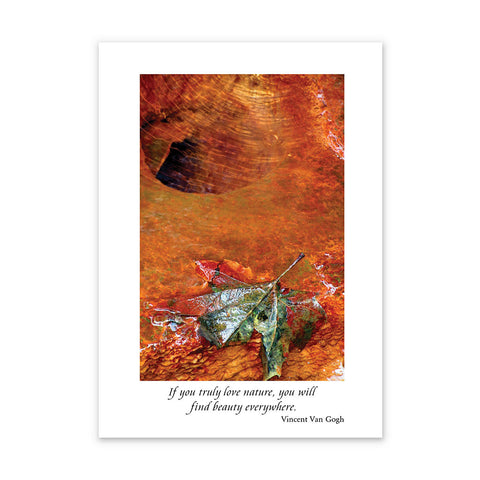 THE GODDESS SPRING